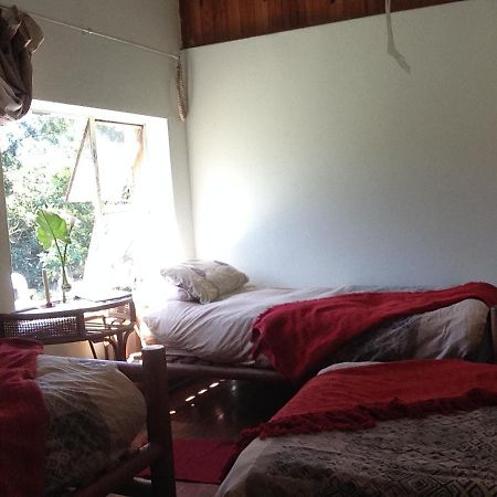 Dijembe Backpackers Lodge Stormsrivier Dış mekan fotoğraf
