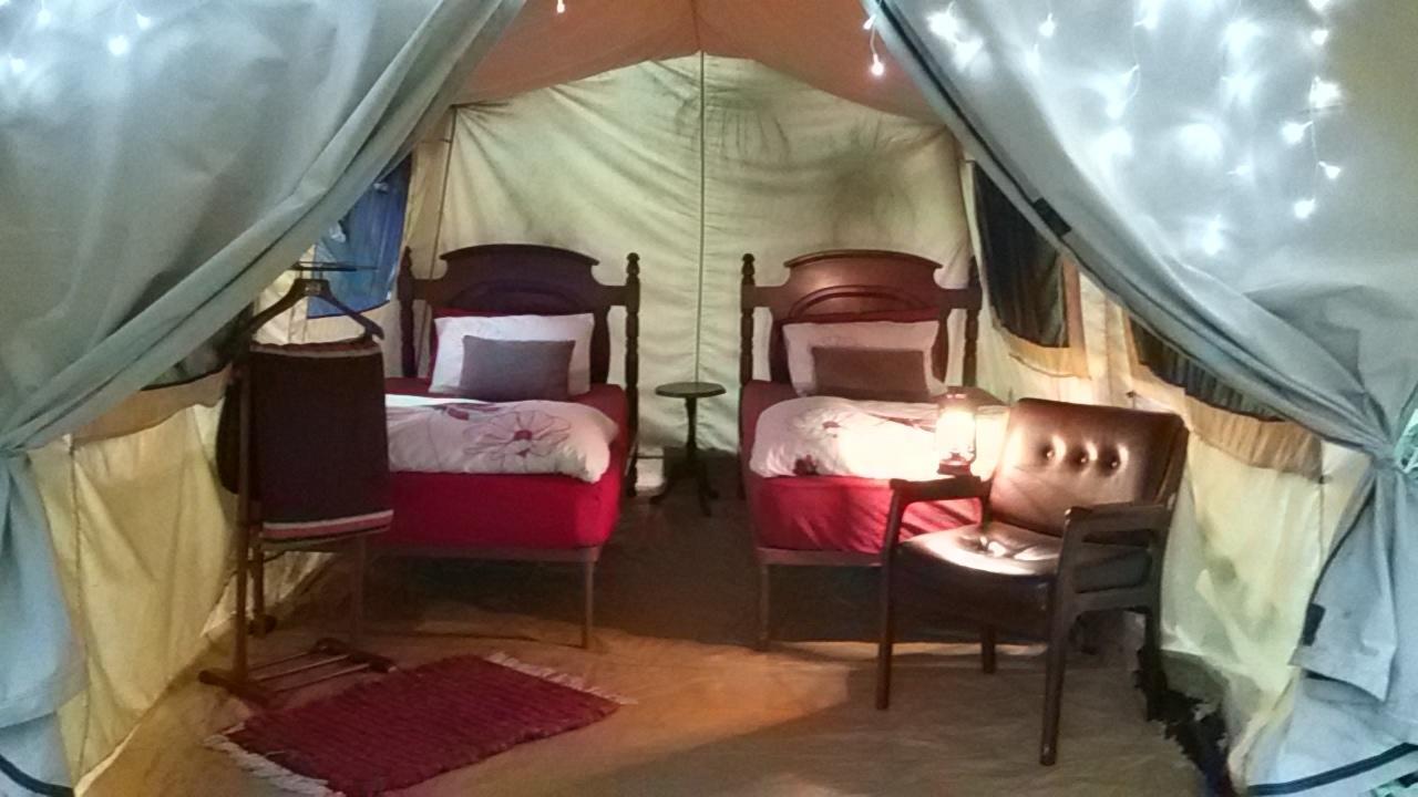 Dijembe Backpackers Lodge Stormsrivier Dış mekan fotoğraf