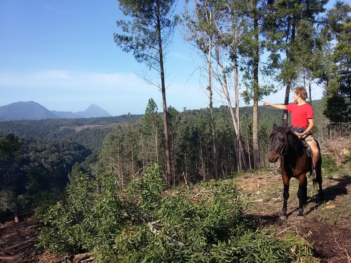 Dijembe Backpackers Lodge Stormsrivier Dış mekan fotoğraf