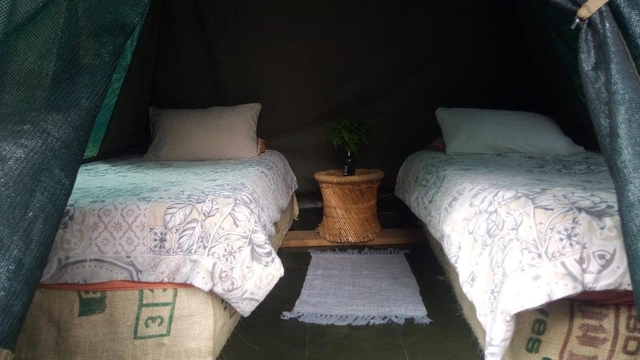 Dijembe Backpackers Lodge Stormsrivier Dış mekan fotoğraf